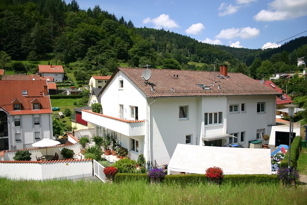 Apartmenthaus "Zum Lowen" Heidelberg - Ziegelhausen Exterior photo