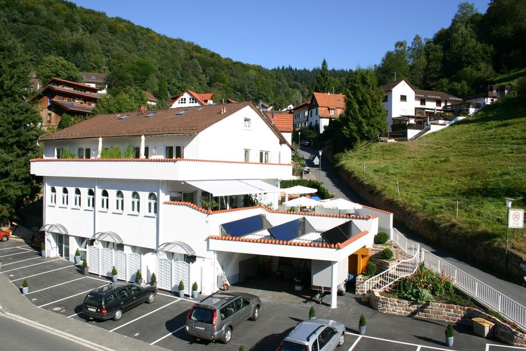 Apartmenthaus "Zum Lowen" Heidelberg - Ziegelhausen Exterior photo